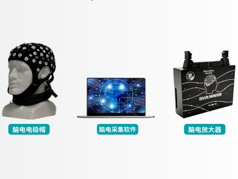脑电采集分析仪